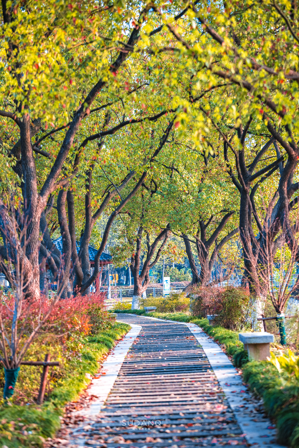 武汉值得一看的园林,武汉最宜居城市排名