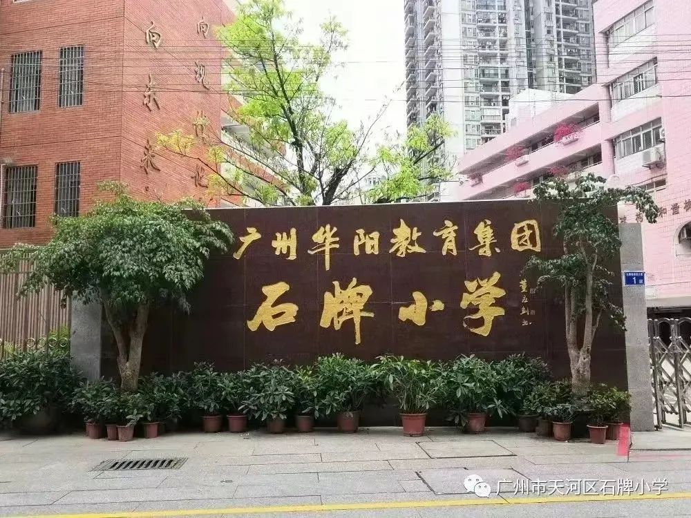 粤剧、醒狮、武术、科技……TA有39个宝藏社团？