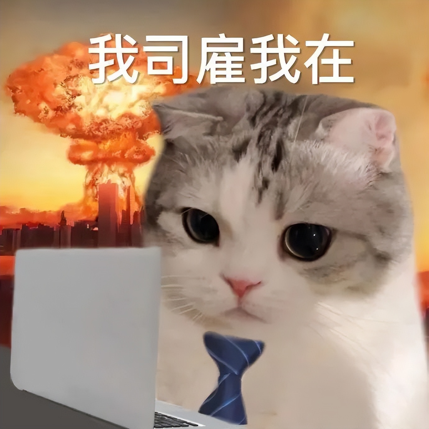 邓超和孙俪真的婚变了吗,2022邓超孙俪婚变是真的吗