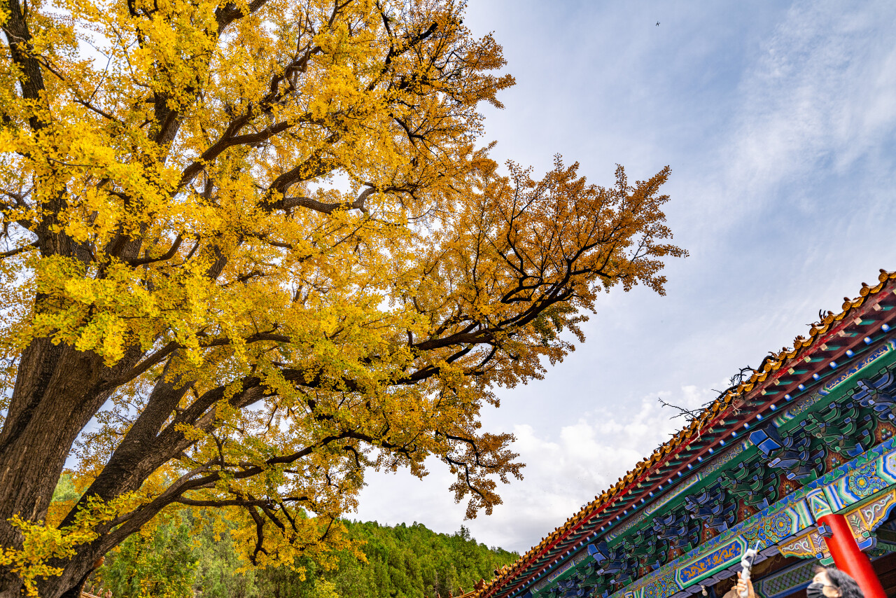 济南赏秋,秋天济南去哪里赏秋最好