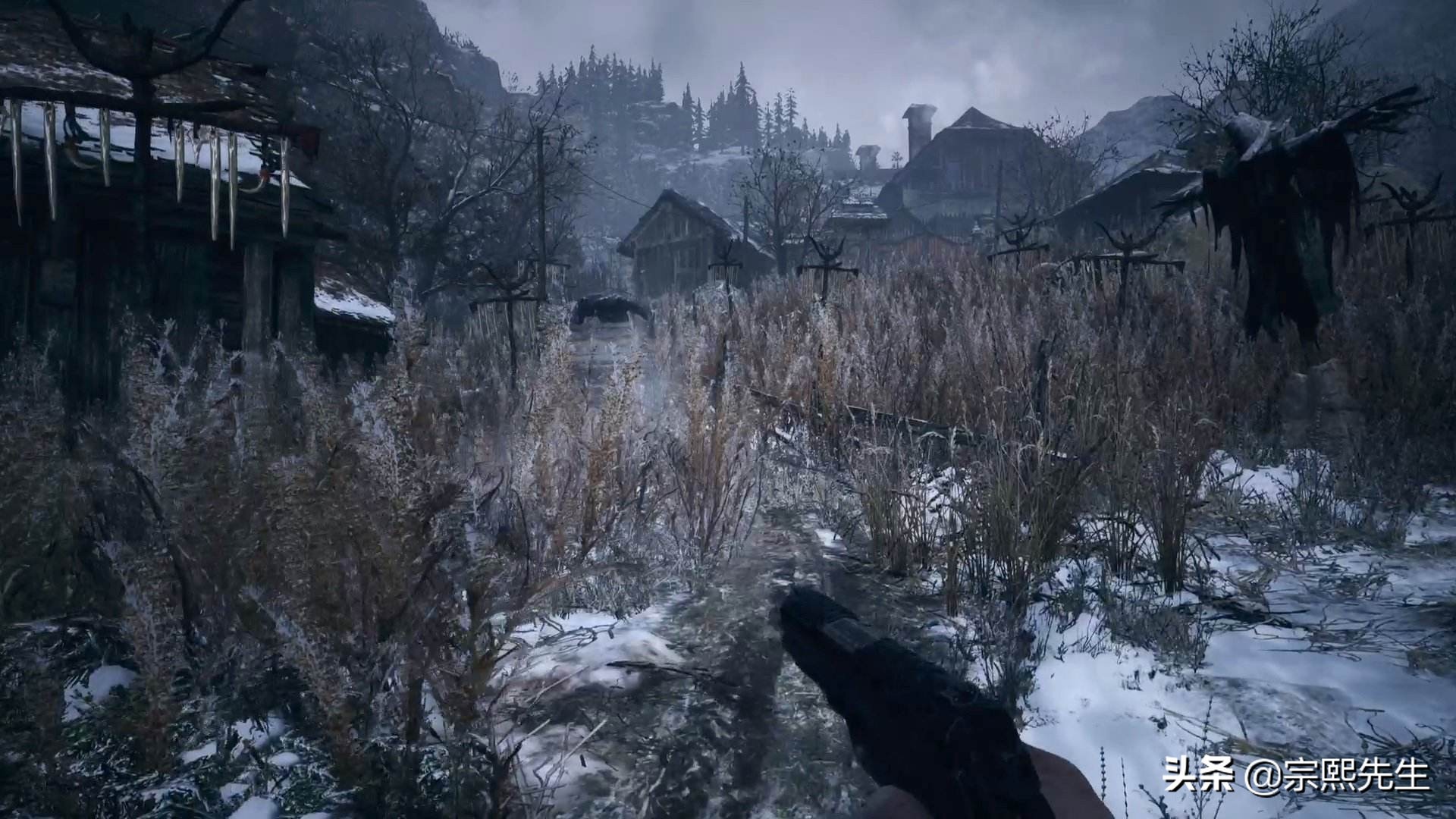 鲤鱼ace解说生化危机8村庄,生化危机8最高难度村庄诡影速通