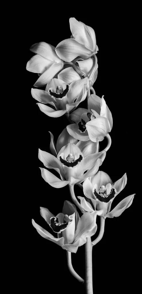 黑暗系壁纸黑底文字,黑暗色系的壁纸