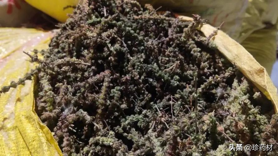 12月27日中药材市场快讯：连翘、柴胡、山楂、僵蚕、板蓝根、菊花