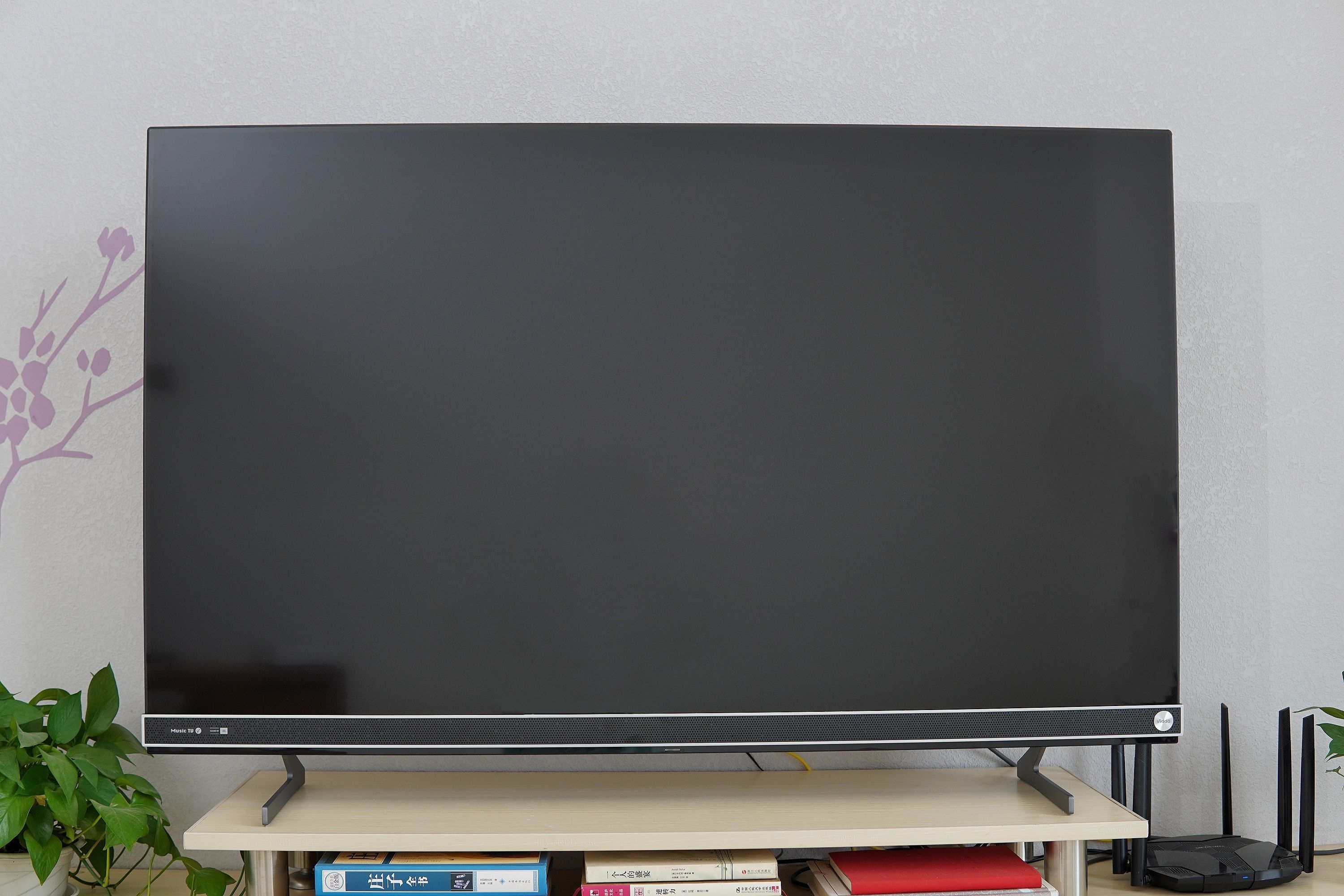 麦克风k歌之王,海信vidda电视k歌麦克风