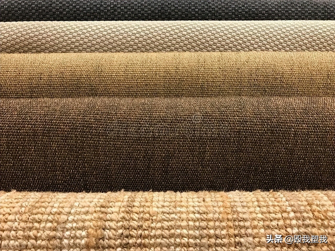 湛江哪里的鱼多,湛江章鱼属什么品种