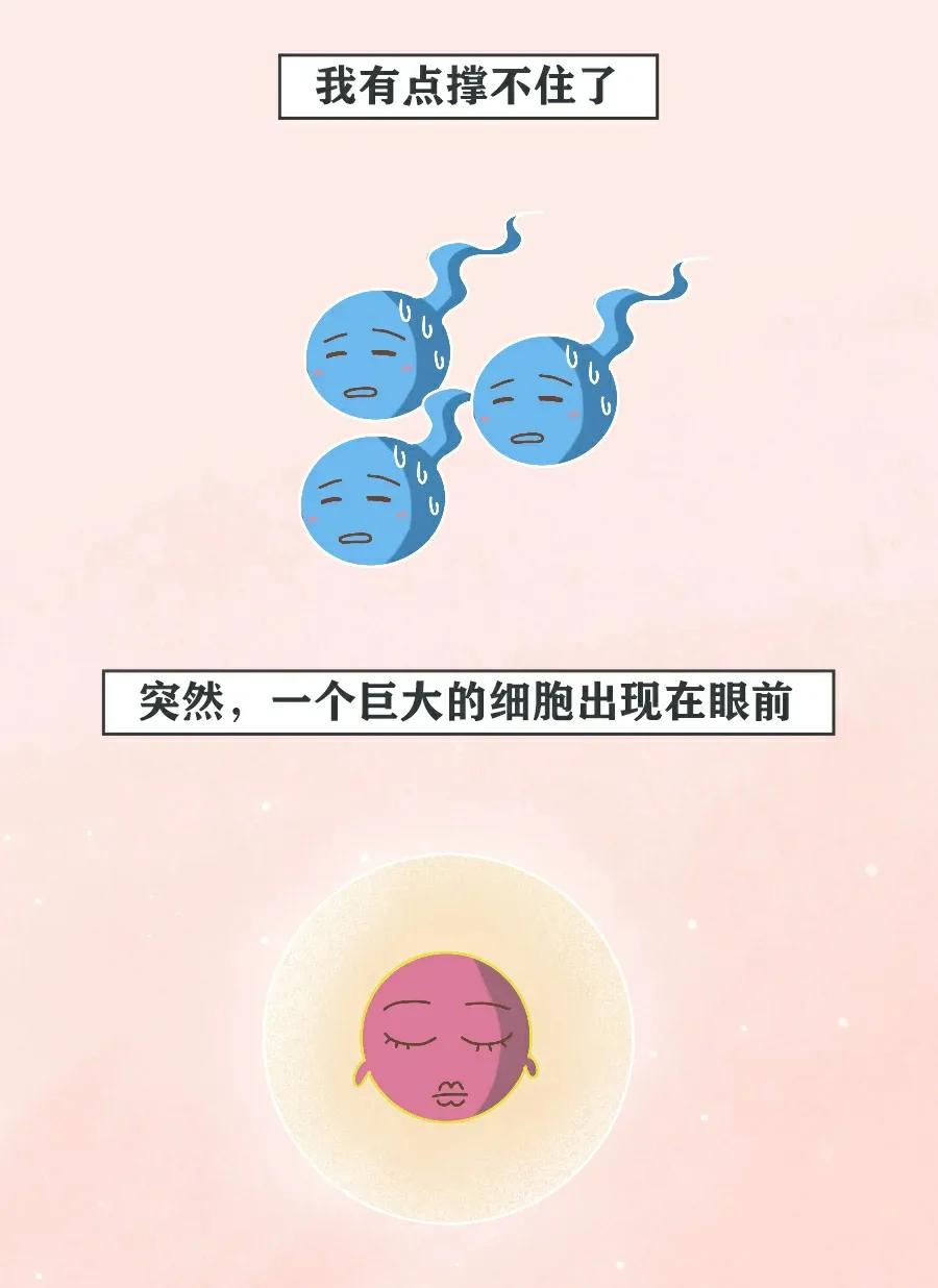 当精子进入女生体内后，会发生什么变化？不要羞于了解！