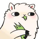 它能治病？请转给你的父母看看