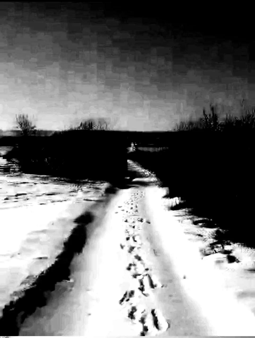 长篇小说《红杉树》连载二十四