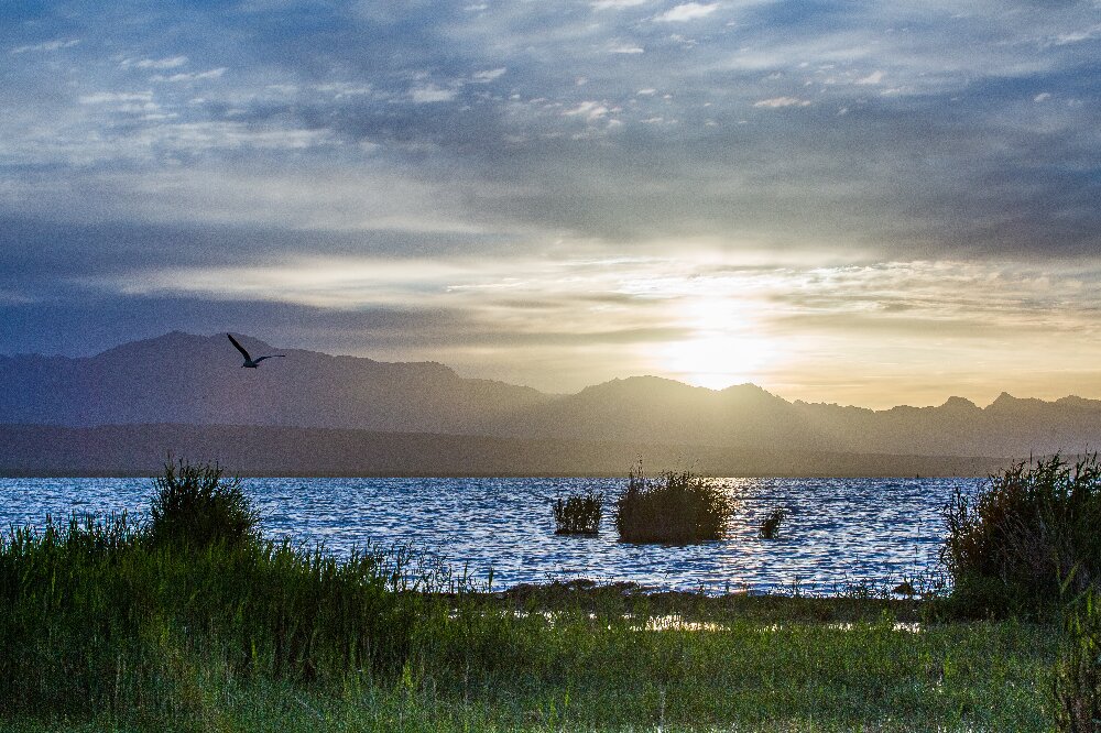 金色世界摄影,金色世界文创