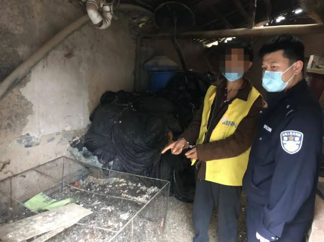 循线追“鸡”！公安县民警跨省捉鸡贼