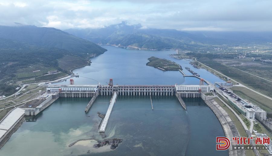 项目为高质量发展注入新动力,项目为王破局