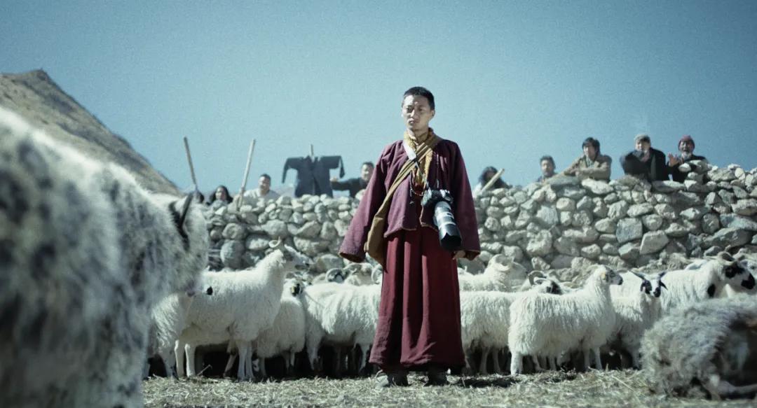 它屡获大奖，仍无法打破票房魔咒？万玛才旦导演遗作《雪豹》悄然上映