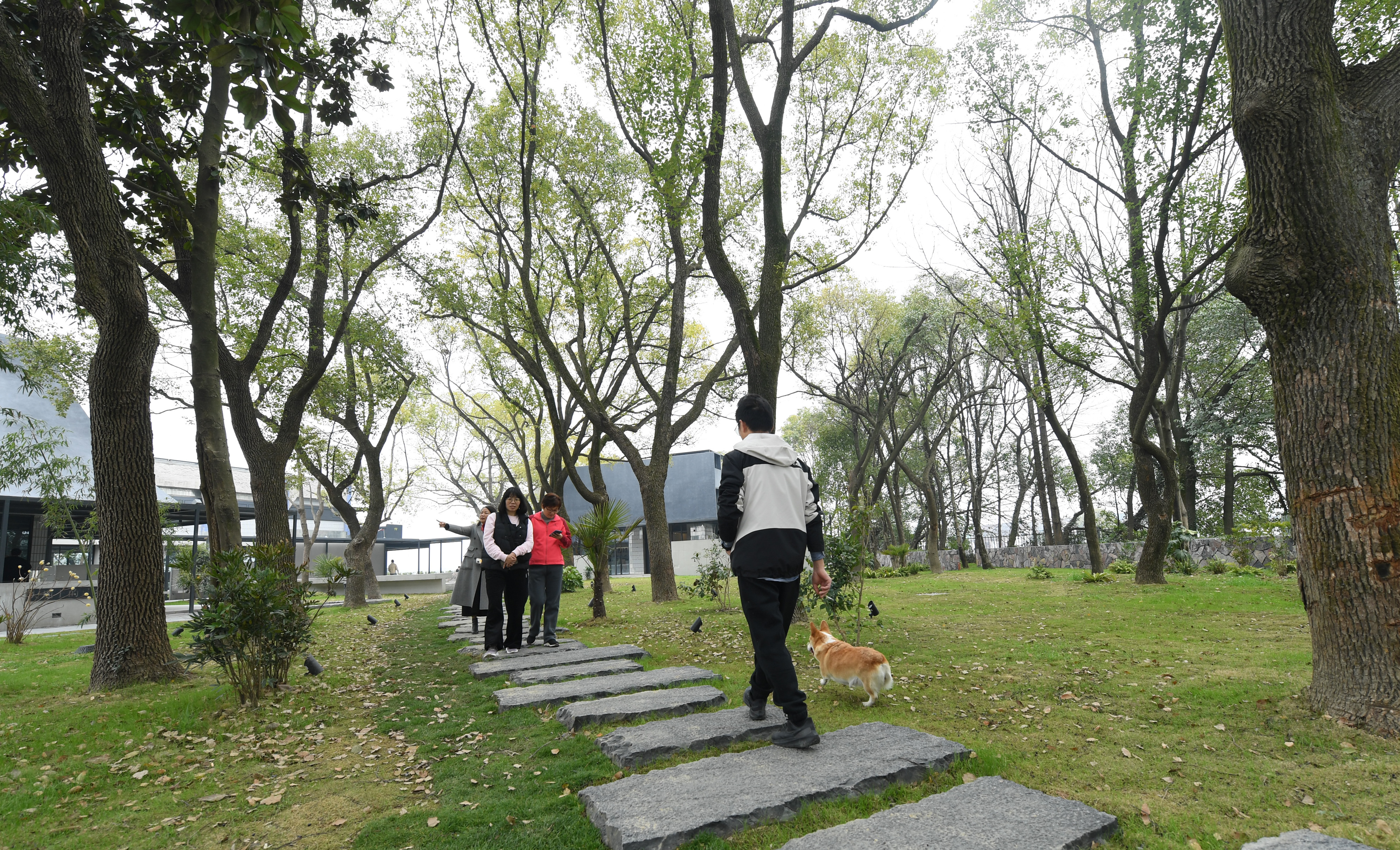 绍兴诸暨小镇街景实拍,绍兴城中村改造鉴湖村