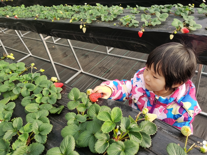 绥芬河市阜宁镇：寒冬吹风雪，经济“不降温”