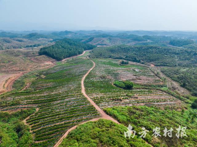 锚定万亿级,锚定高质量发展百千万工程