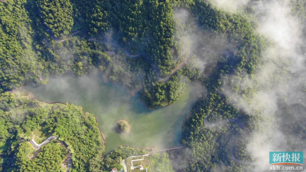 龙年抽龙签,龙年抽福签