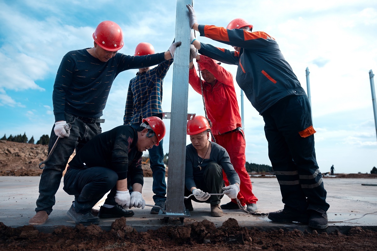 绵阳平武100万只蛋鸡,绵阳三台蛋鸡养殖基地