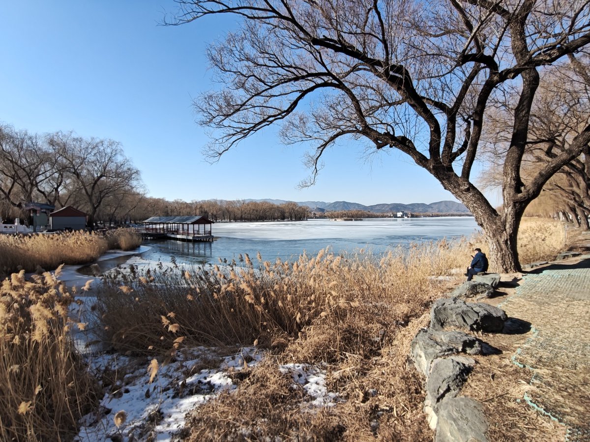 oneplus一加ace3,一加ace3