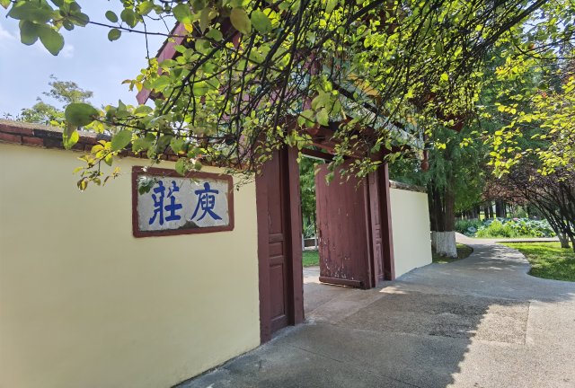 春城晚报生活节,春城晚报开屏新闻生活节