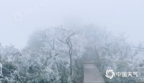 广西1961年以来12月中旬最强寒潮天气过程威力有多大温暖天气何时归？