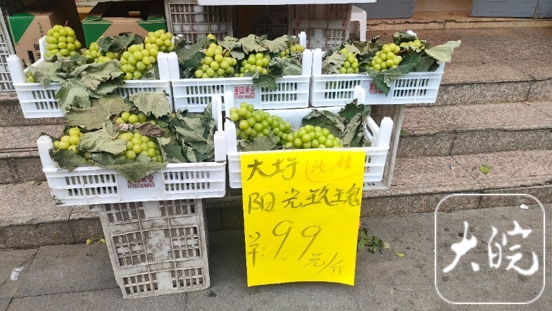 水果批发市场阳光玫瑰多少钱,贵阳阳光玫瑰多少钱一斤