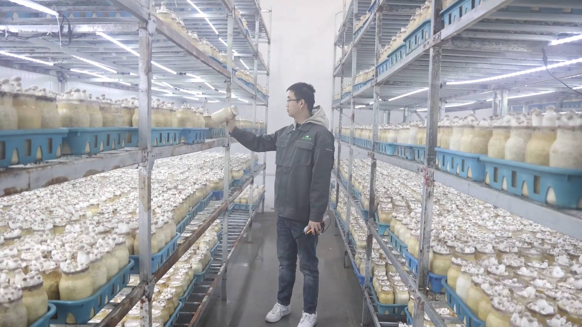 特色种植富民增收视频,农业种植致富产业