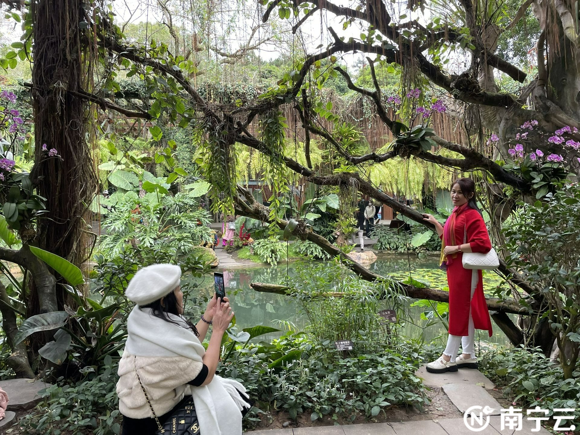 越南旅行商来广西旅游,广西南宁文旅游玩