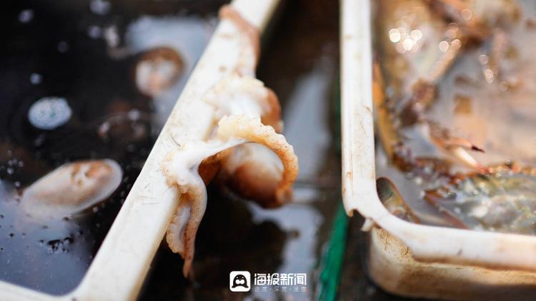 2023日照港海鲜最新报价,日照港海鲜最新价格今天