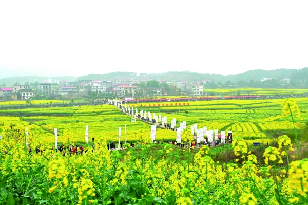 七山一水两分田视频,七山一水二分田浙江为什么富裕
