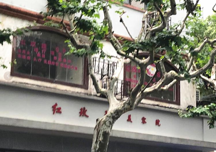 淮海路红玫瑰,红玫瑰再次回归