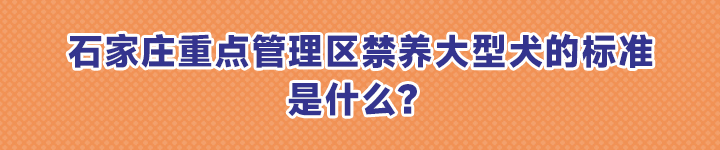 被犬攻击,被犬攻击怎么办