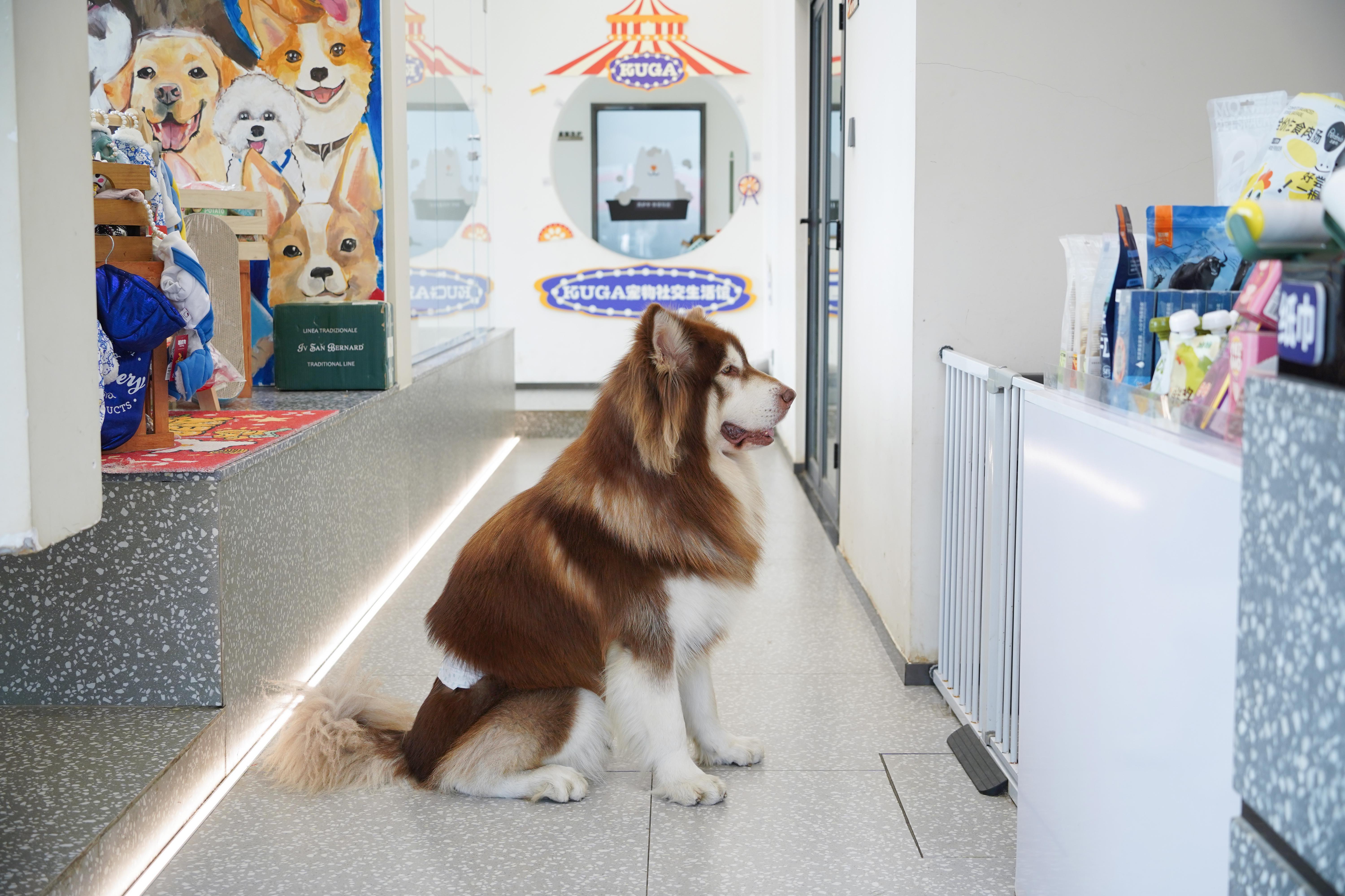 你就宠他吧谐音,你就宠他吧在线阅读