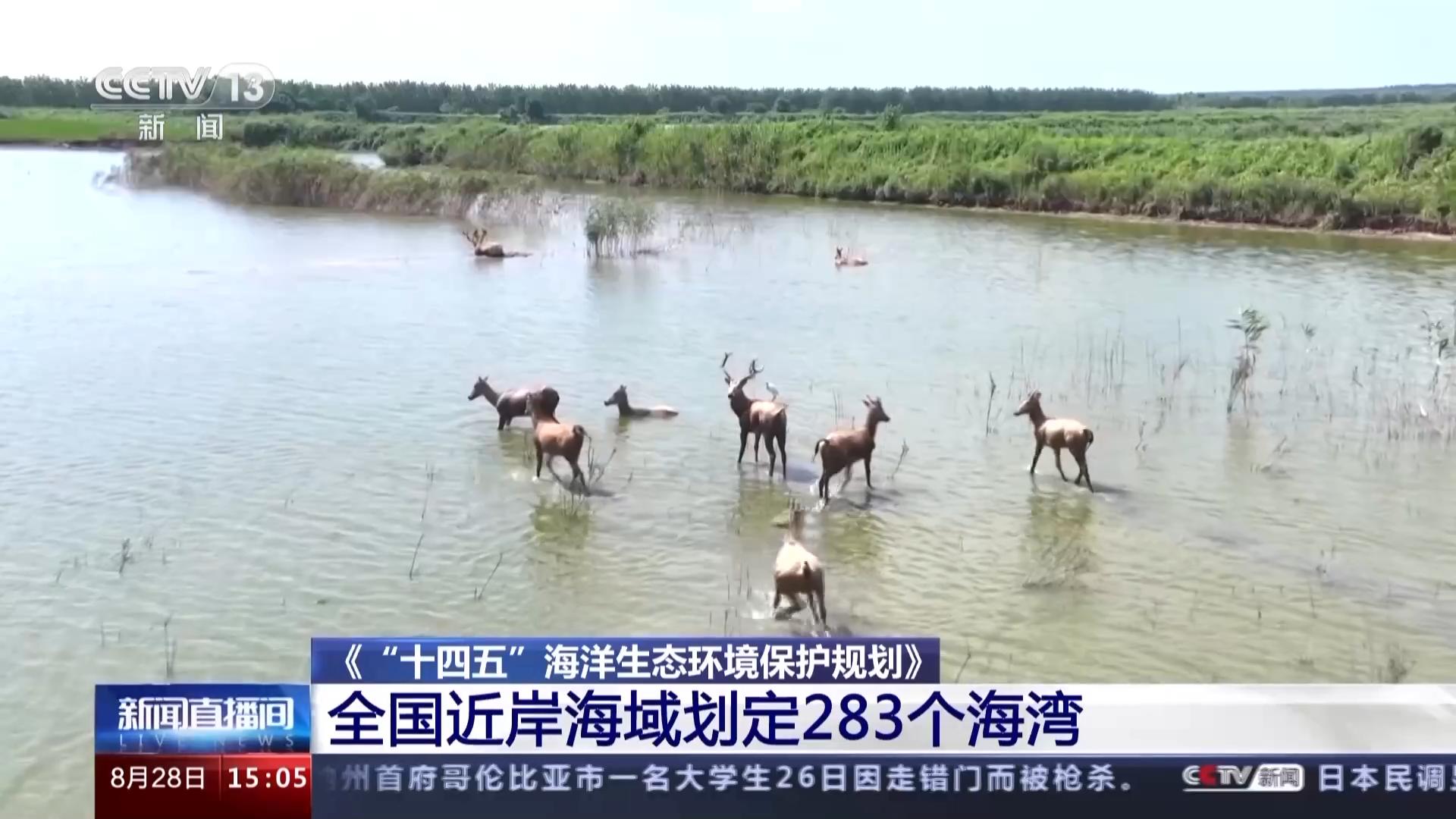 海南三亚湾美丽海湾,三亚湾最美海湾