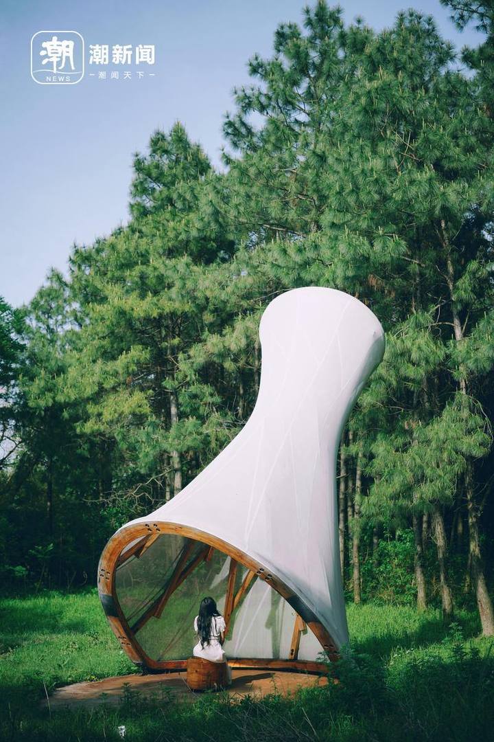 浙江龙游文旅的亮点是什么,浙江龙游文旅特色亮点