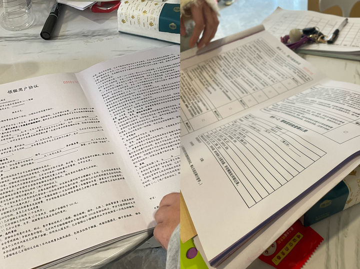 免费领养的猫可以退吗,免费领养的猫但是要支付宝500积分