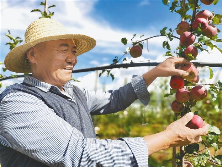 *藏西**山南：绿了河谷富了群众