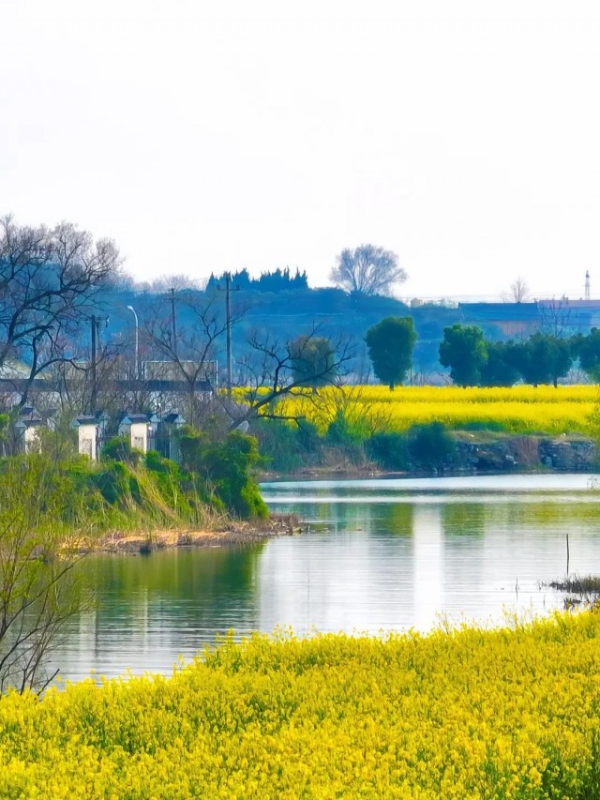 带孩子五日游经典线路推荐,带孩子自驾游4-5推荐路线