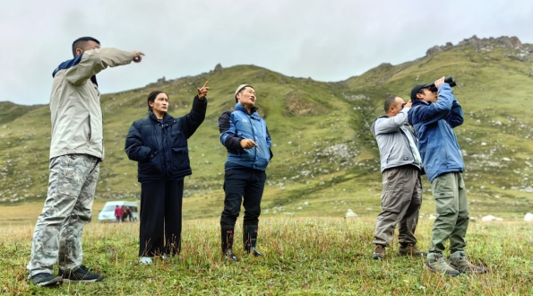 世界雪豹保护日,世界雪豹分布的国家数量