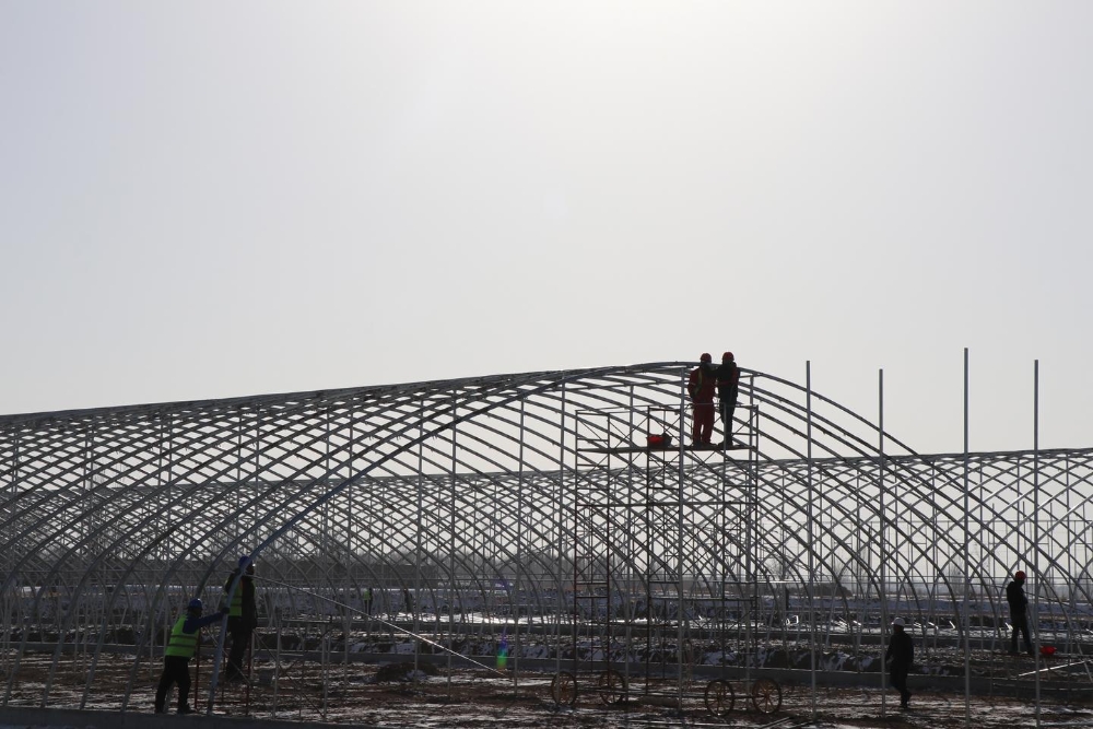 乡镇三举措推进产业转型升级,三个聚焦力促猕猴桃产业提质增效