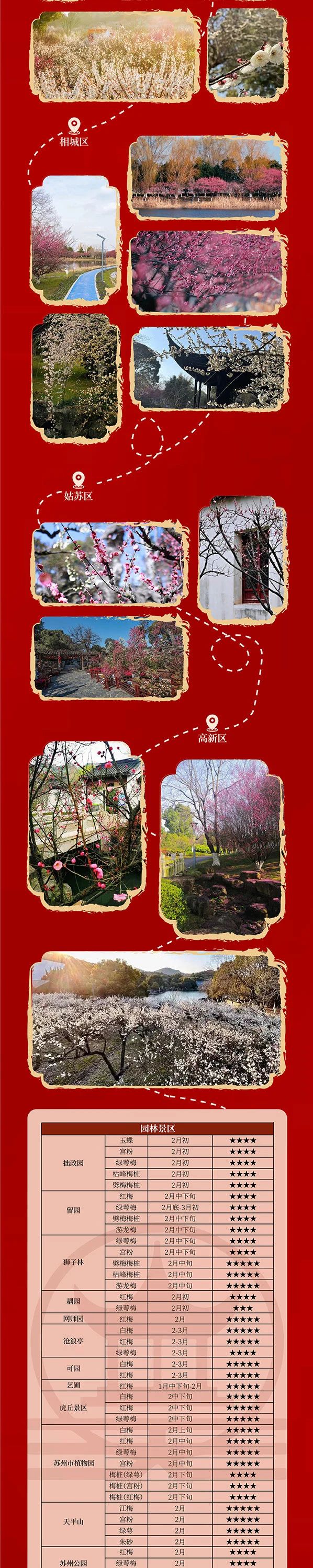 苏州香雪海梅花最佳观赏期,苏州赏梅花的最佳户外线路