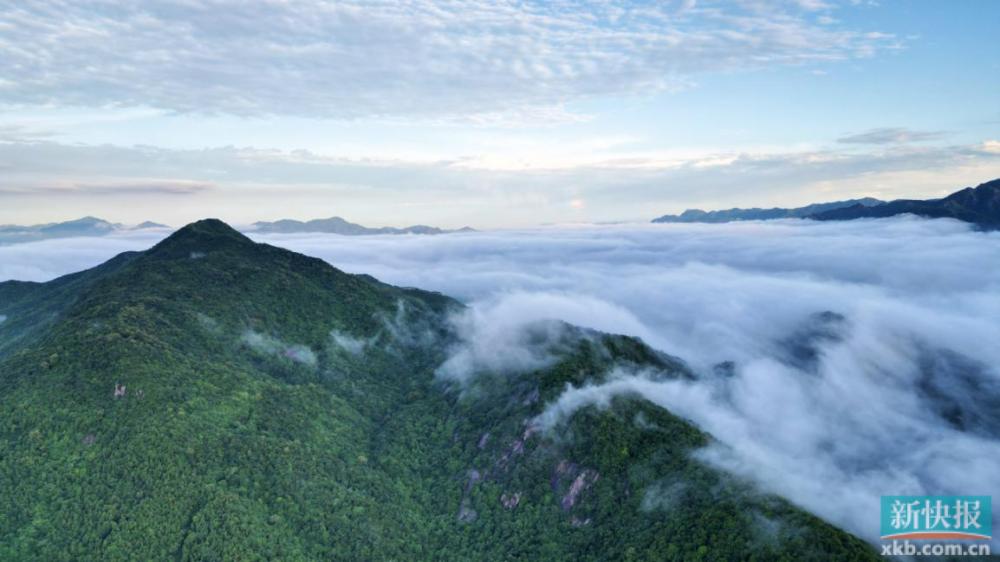 龙年抽龙签,龙年抽福签