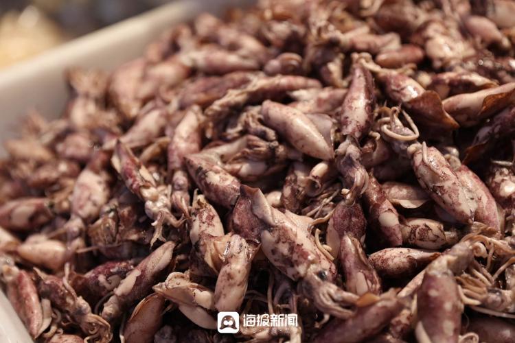 海产梭子蟹价格行情分析最新,广东海鲜市场批发价表