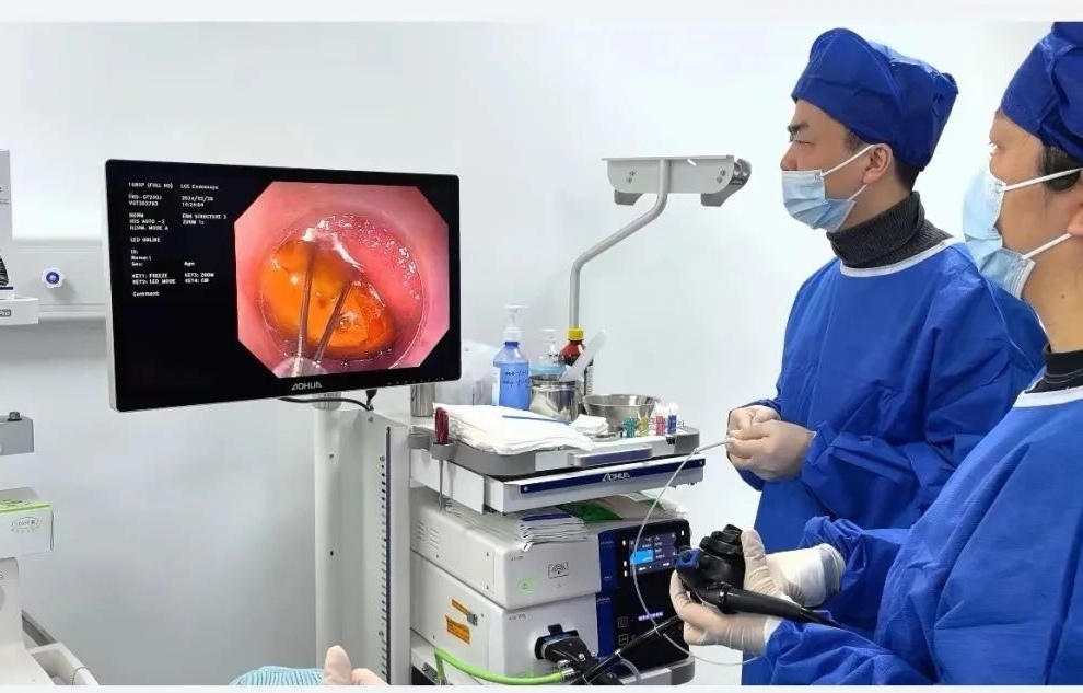 女生误吞菠萝蜜核,菠萝蜜核误吞到肚子里会被消化吗