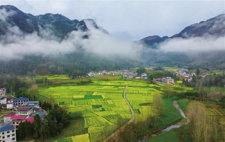 春来湘西，拈朵微笑的花