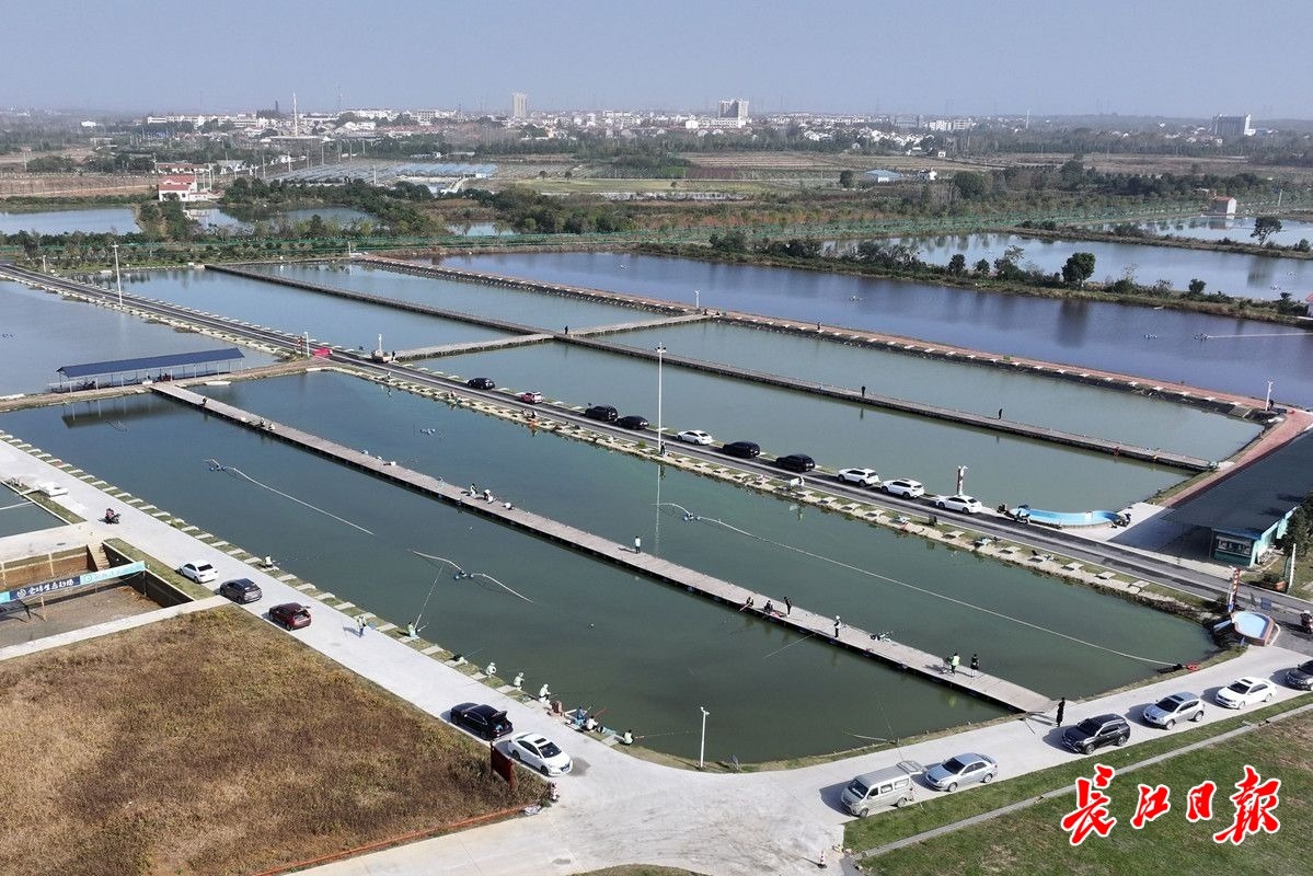 钓鱼月入过万,钓鱼月入20000