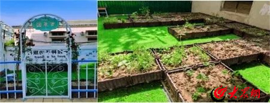 潍坊市中新双语学校,潍坊中新双语教育