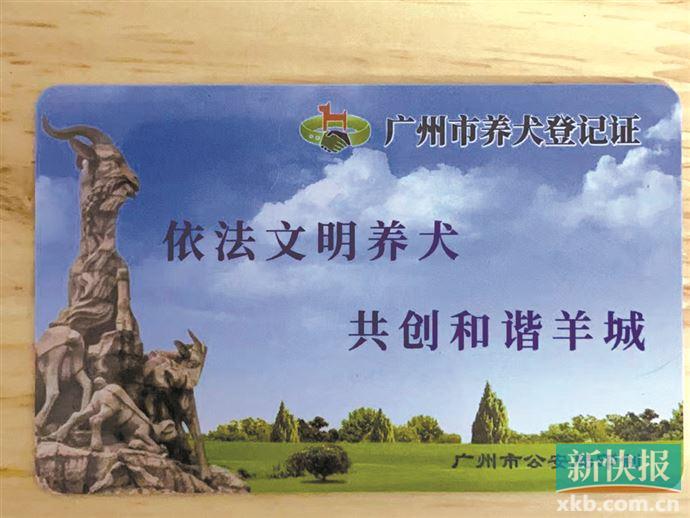 管好自家的狗才是硬道理,管好自己的狗才是真本事