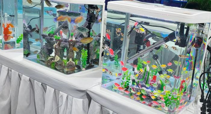 滨州水产博览会是第几届,2021滨州国际水产博览会