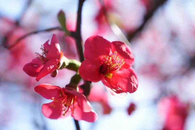 有一种云南的生活叫昆明,有一种云南生活叫西双版纳