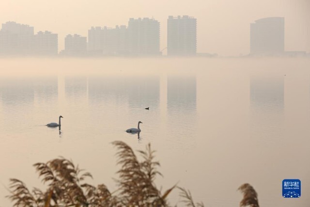 冬景迷人,冬景如画